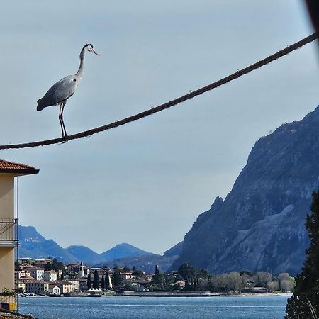 L'Airone - Casa Vacanza Mandello del Lario Eksteriør billede