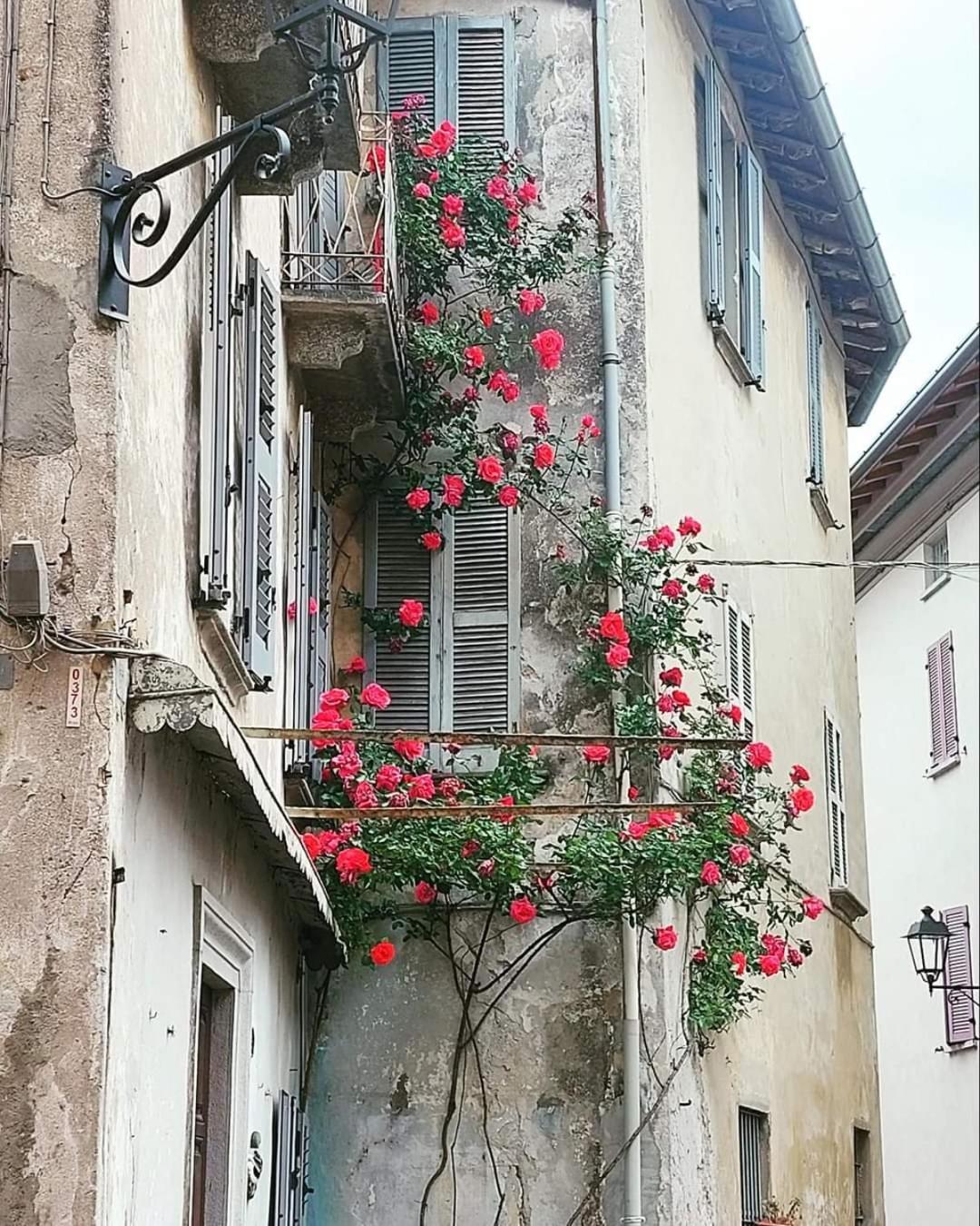 L'Airone - Casa Vacanza Mandello del Lario Eksteriør billede